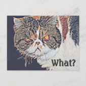 Chagrijnige Grumpy Cat Grappige Verjaardag Briefkaart (Voorkant)