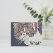Chagrijnige Grumpy Cat Grappige Verjaardag Briefkaart (Staand voorkant)