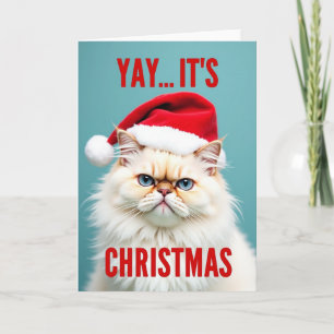 Chagrijnige Kerstman Katten Kerstmis Kaart