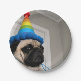 Chagrijnige Pug Draagt Regenboog Verjaardagspartsh Papieren Bordje