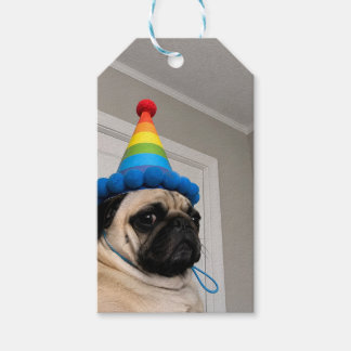 Chagrijnige Pug met Regenboog Verjaardagsfeesthoed Cadeaulabel