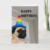 Chagrijnige Pug met Regenboog Verjaardagsfeesthoed