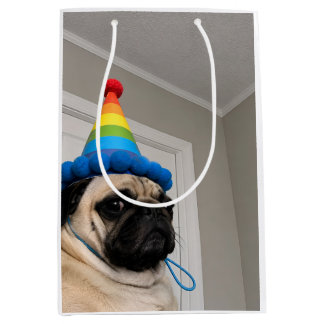Chagrijnige Pug met Regenboog Verjaardagsfeesthoed Medium Cadeauzakje