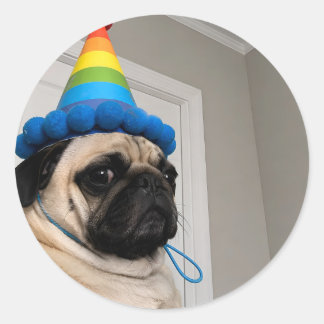 Chagrijnige Pug met Regenboog Verjaardagsfeesthoed Ronde Sticker