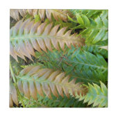 Chain Fern Fronds Floral Tegeltje (Voorkant)