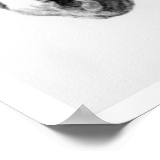 Chained to the World Draft Horses Drawing Poster (Hoek)