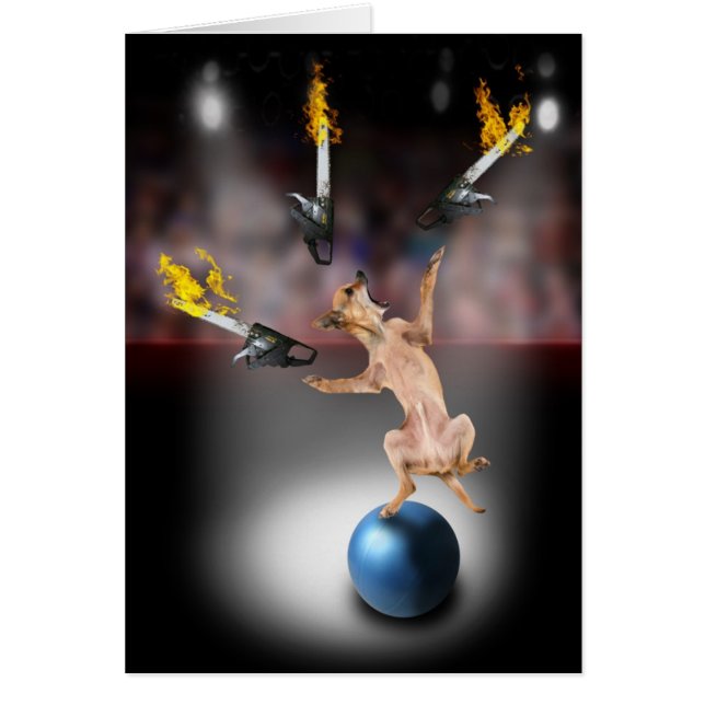 Chainzaag Juggling Chihuahua (Voorkant)