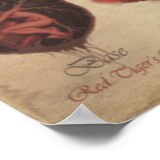 CHAKRA FAE CYCLE POSTER (Hoek)