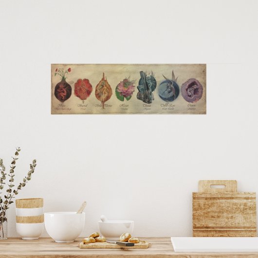 CHAKRA FAE CYCLE POSTER (Keuken)