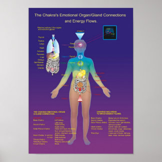 Chakra Organ / Gland and Energy Flow Poster