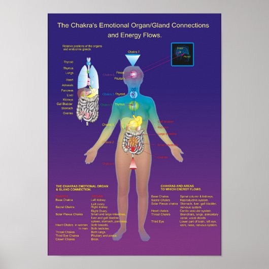 Chakra Organ / Gland and Energy Flow Poster (Voorkant)