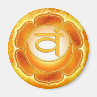 Chakra - Sacraal - Magneet