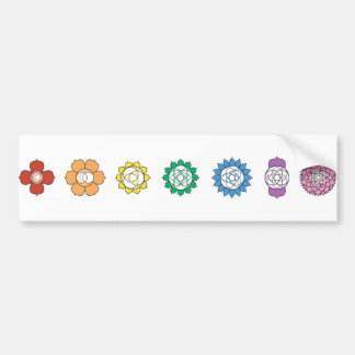 Chakra Strip Bumpersticker