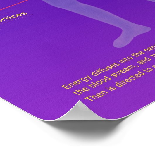 Chakra Structuur en functie Poster (Hoek)