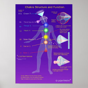 Chakra Structuur en functie Poster