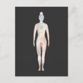 Chakras Briefkaart (Voorkant)