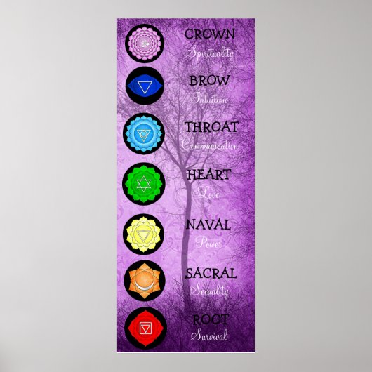 Chakras Centers Chart Chi Energy Poster (Voorkant)