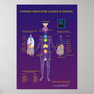 Chakras Endocriene klieren en organen Poster