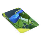 Chalice-of-Blue Morning Glory Magneet (Rechterzijde)