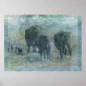 Chalk Elephants Poster (Voorkant)