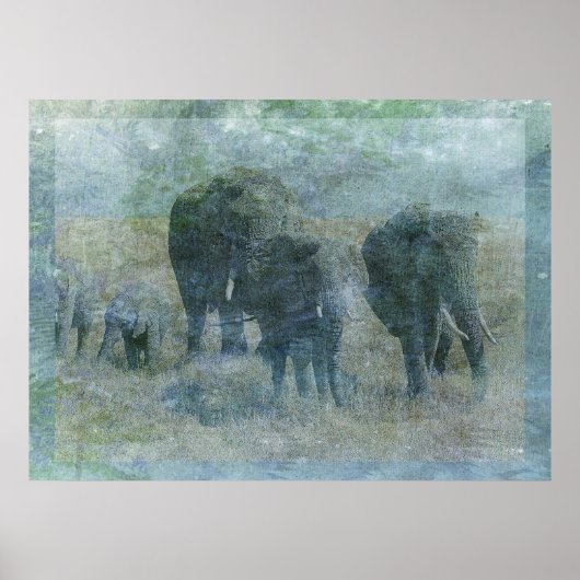Chalk Elephants Poster (Voorkant)
