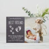 Chalkboard New Baby Modern Pet Newborn Foto Aankondiging (Staand voorkant)