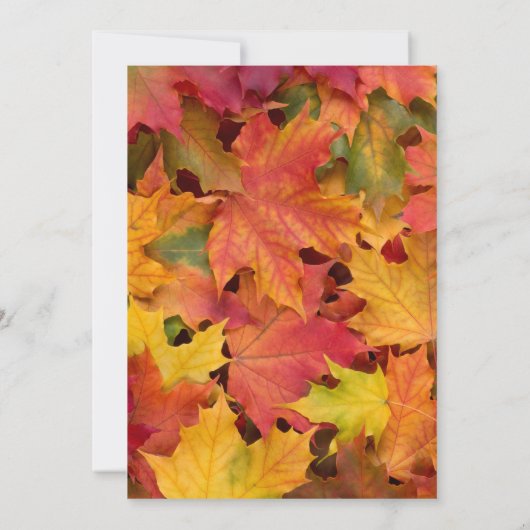 Chalkboardbruiloft met rotsvaste val kaart (Achterkant)