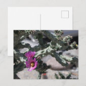 Challa Cactus in bloei Feestdagenkaart (Voorkant / Achterkant)