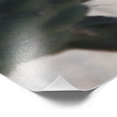 Challa Cactus in bloei Foto Afdruk (Hoek)