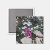 Challa Cactus in bloei Magneet (Voorkant / Achterkant)