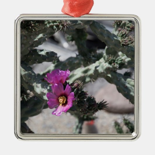 Challa Cactus in bloei Metalen Ornament (Voorkant)