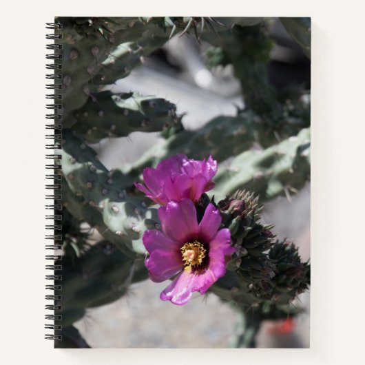 Challa Cactus in bloei Notitieboek (Voorkant)
