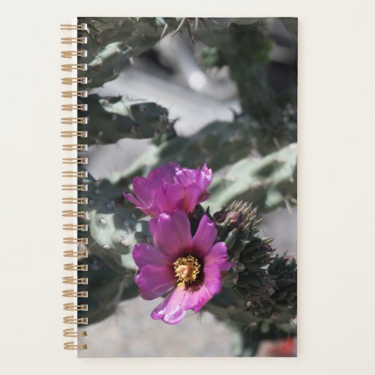 Challa Cactus in bloei Planner (Voorkant)