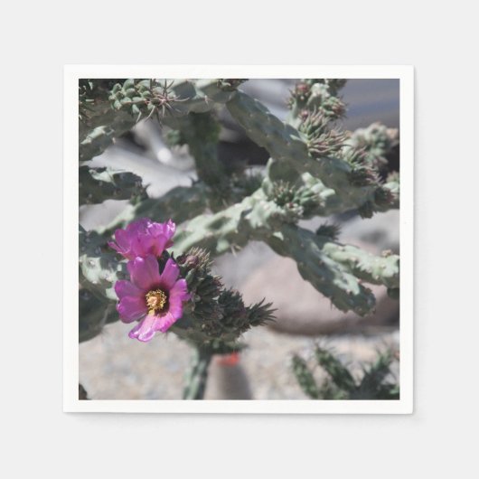Challa Cactus in bloei Servet (Voorkant)