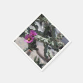 Challa Cactus in bloei Servet (Hoek)
