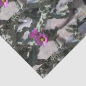 Challa Cactus in bloei Tissuepapier (Detail)