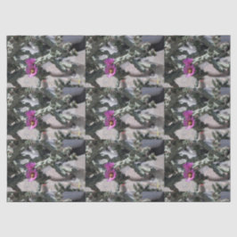 Challa Cactus in bloei Tissuepapier