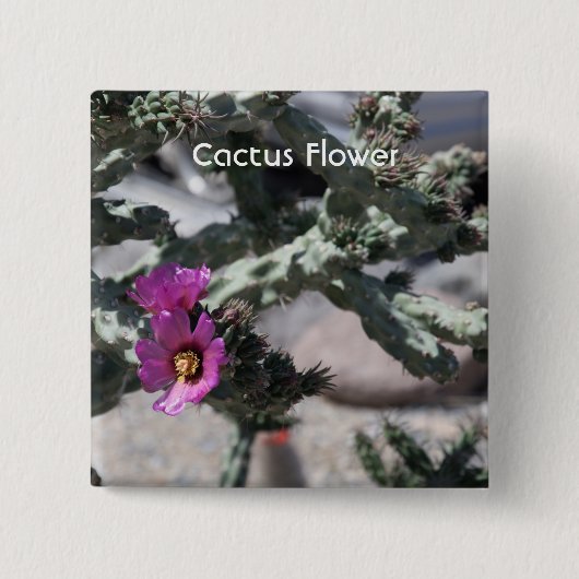 Challa Cactus in bloei Vierkante Button 5,1 Cm (Voorkant)
