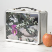 Challa Cactus in bloom (In situ)