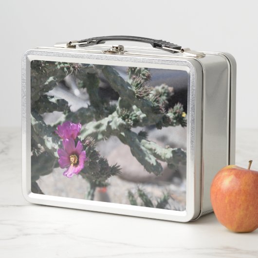 Challa Cactus in bloom (In situ)