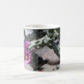 Challa Cactus in bloom Koffiemok (Center)