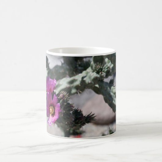 Challa Cactus in bloom Koffiemok (Center)