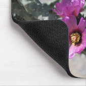 Challa Cactus in bloom Muismat (Hoek)