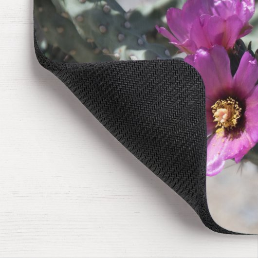 Challa Cactus in bloom Muismat (Hoek)