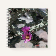 Challa Cactus in bloom