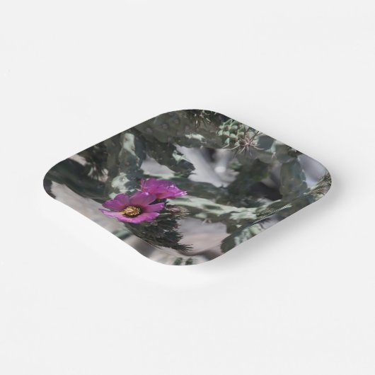 Challa Cactus in bloom Papieren Bordje (Gebogen)