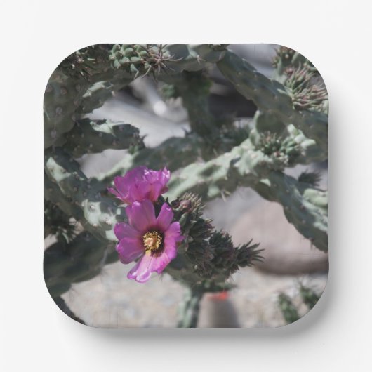 Challa Cactus in bloom Papieren Bordje (Voorkant)
