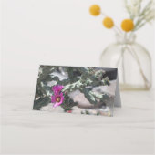 Challa Cactus in bloom Plaatskaartje (Achterkant)