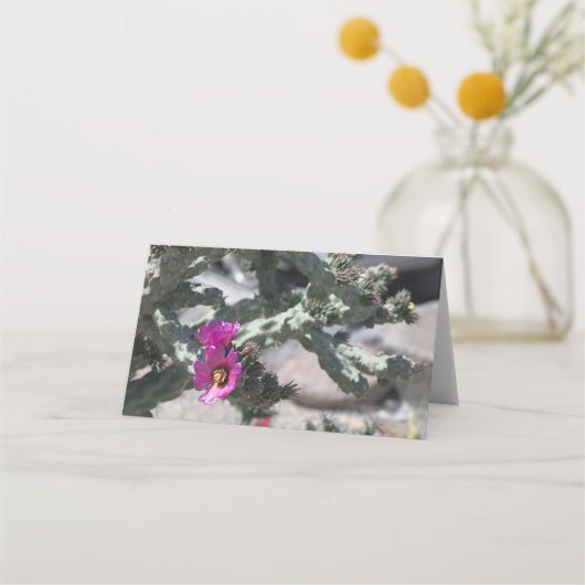 Challa Cactus in bloom Plaatskaartje (Achterkant)