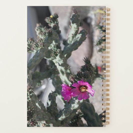 Challa Cactus in bloom Planner (Achterkant)